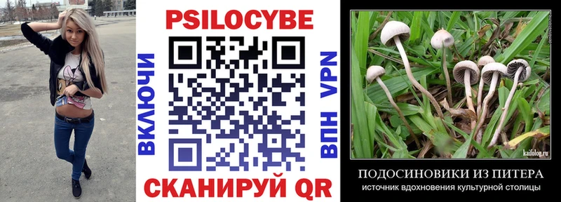 купить   Горняк  Галлюциногенные грибы ЛСД 