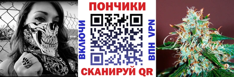 Бошки марихуана индика  blacksprut маркетплейс  Горняк  где можно купить наркотик 
